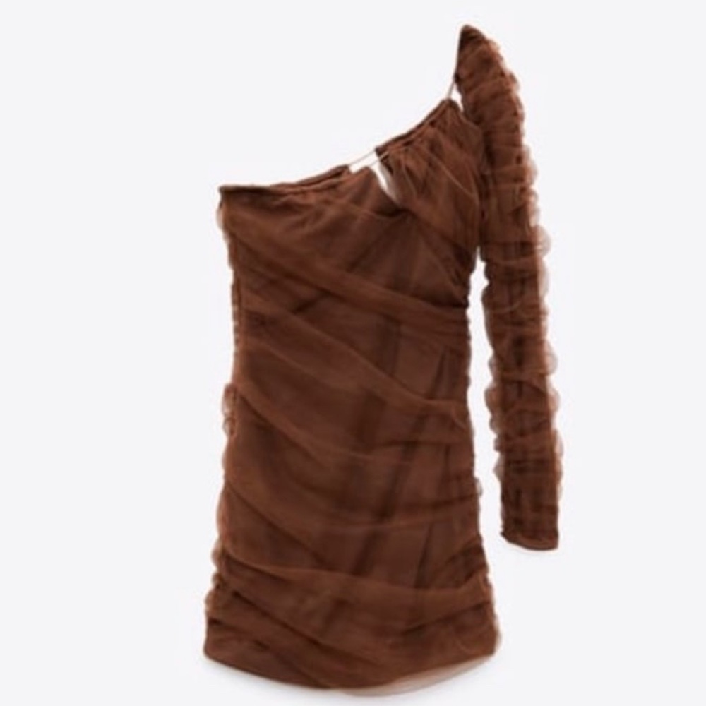 Zara Cut Out Tulle Dress